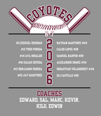 AV Coyotes 6–7U 2026 Roster Tee