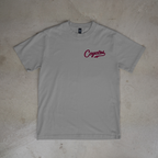 AV Coyotes 6–7U 2026 Roster Tee