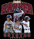 Custom Player Poster Tee